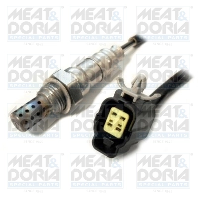 Oxygen Sensor